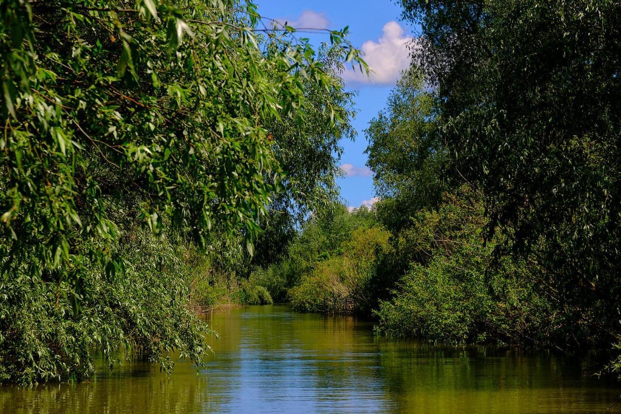 Отель Dumbrava Uzlina Экстерьер фото