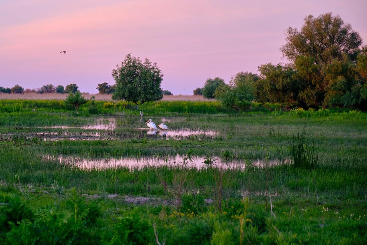 Отель Dumbrava Uzlina Экстерьер фото