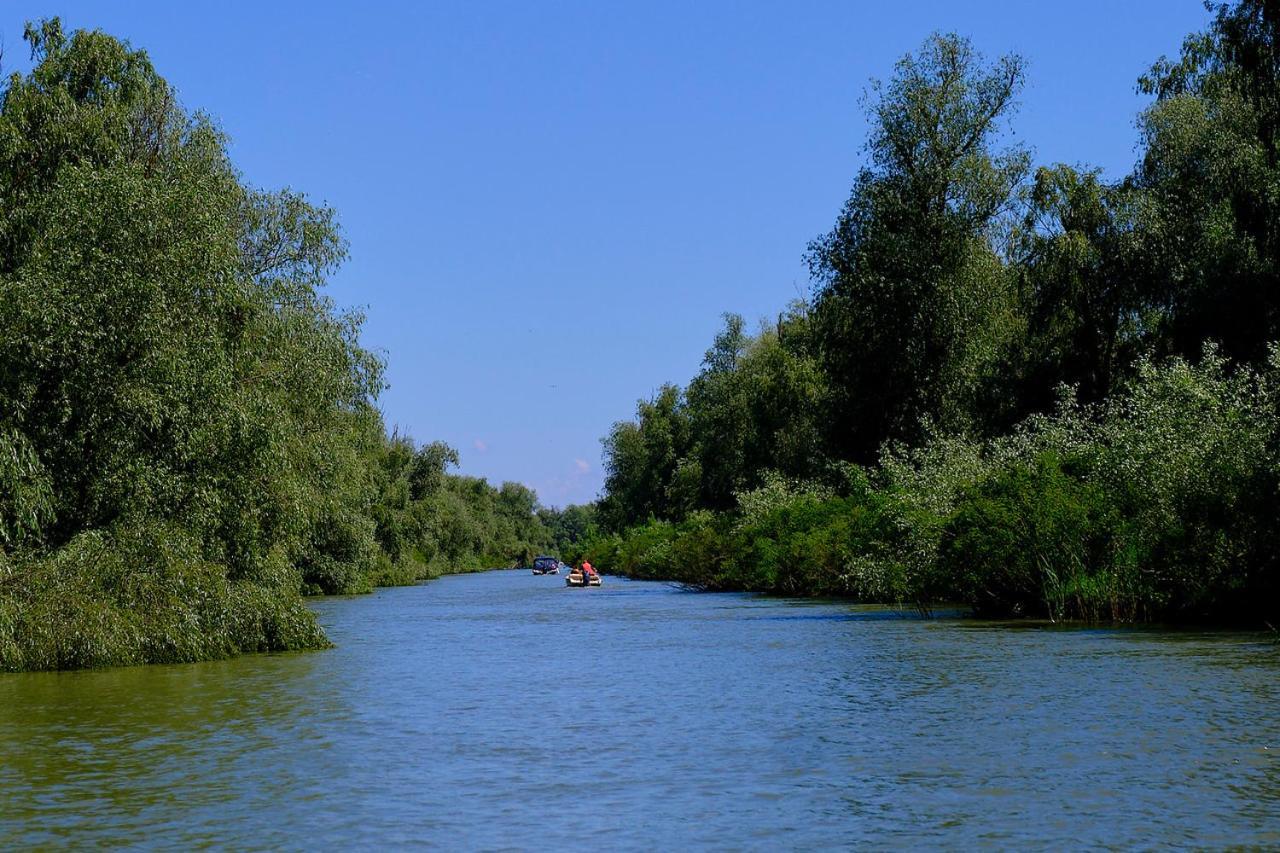 Отель Dumbrava Uzlina Экстерьер фото